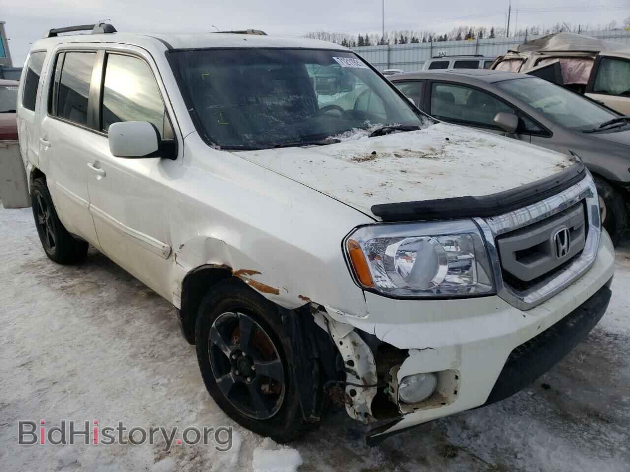 Photo 5FNYF4H48BB507619 - HONDA PILOT 2011
