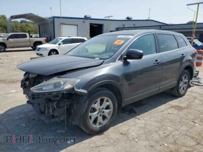 2014 Mazda CX-9 Touring, серый — VIN JM3TB2CA1E0429900, Copart