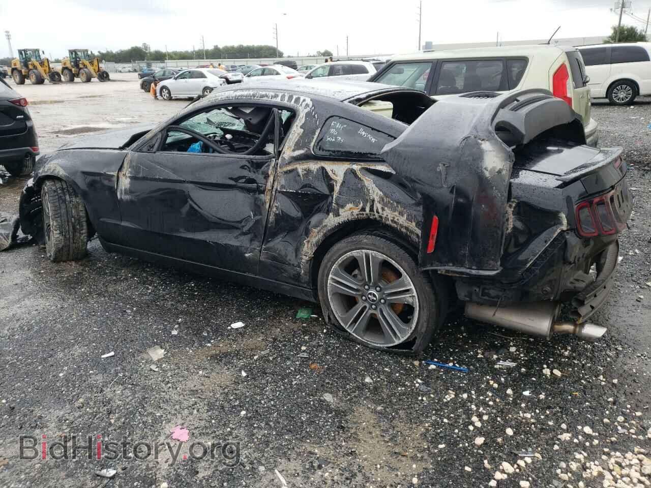 2013 FORD ALL Models - VIN: 1ZVBP8AM3D5231243 - Фото 2