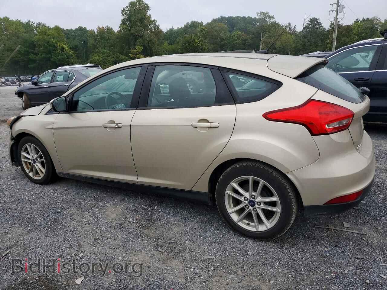 2017 FORD FOCUS - VIN: 1FADP3K20HL311635 - Фото 2