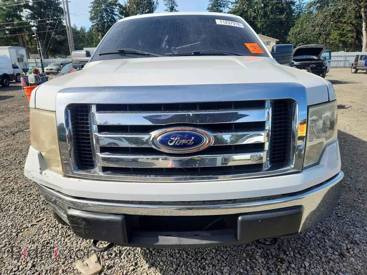 2010 FORD F150 - VIN: 1FTEX1E89AFC38191 - Фото 5
