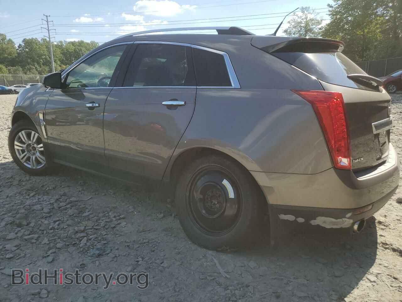 2011 CADILLAC SRX - VIN: 3GYFNAEY7BS559051 - Фото 2