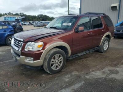 2010 Ford EXPLORER Eddie Bauer, brown — VIN 1FMEU6EE6AUA87829, Copart