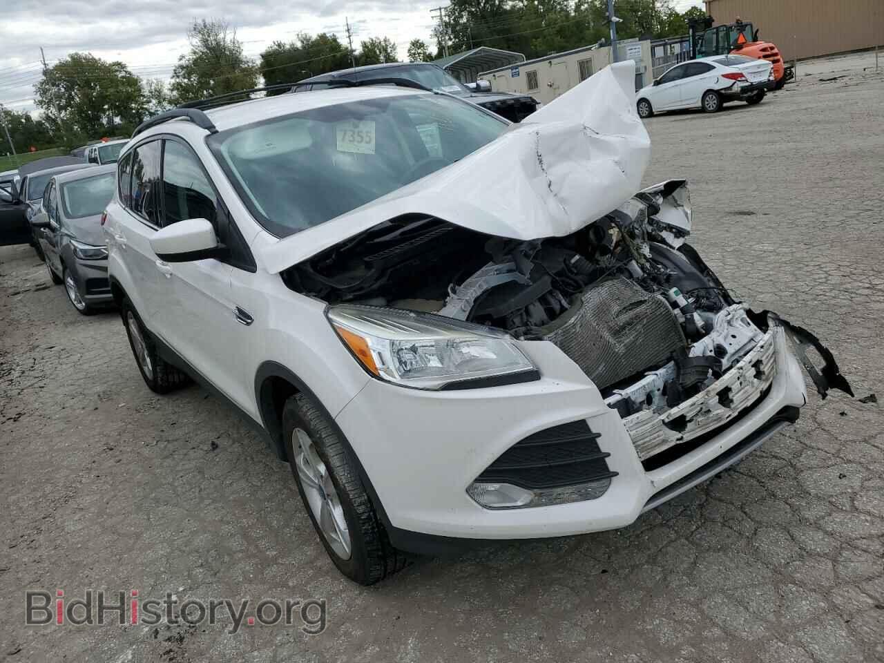 2013 FORD ESCAPE - VIN: 1FMCU9G99DUC14375 - Photo 4