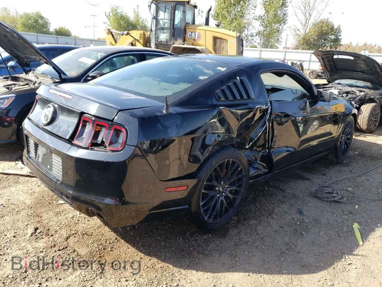 2013 FORD ALL Models - VIN: 1ZVBP8AM5D5269119 - Фото 3