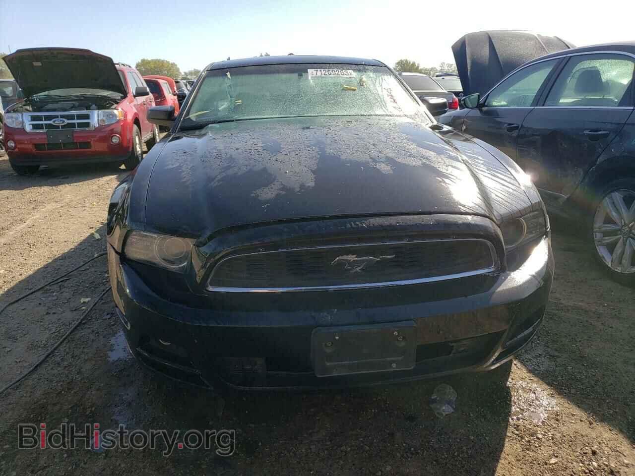 2013 FORD ALL Models - VIN: 1ZVBP8AM5D5269119 - Фото 5