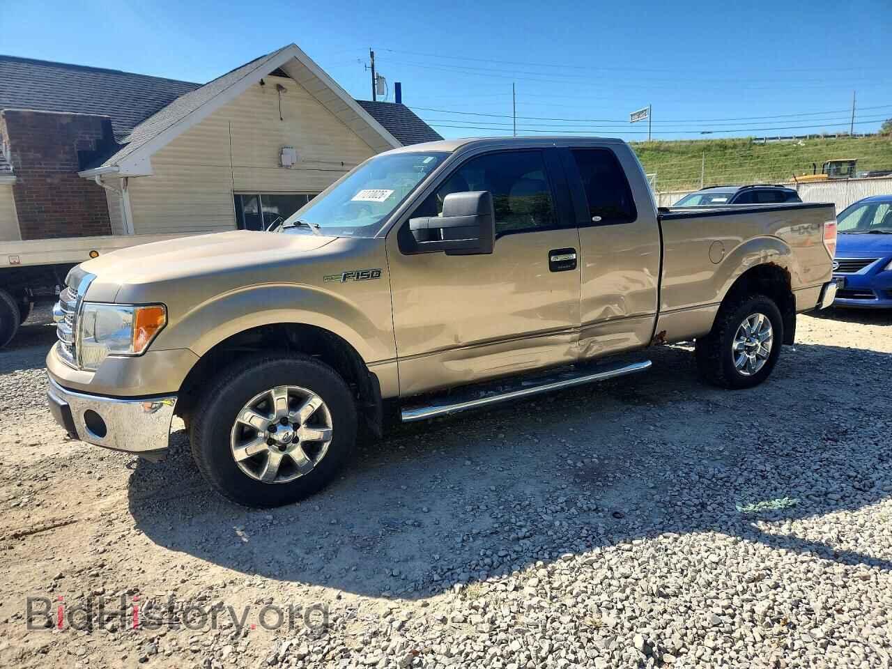 Photo 1FTFX1EF9DFC78066 - FORD F150 2013