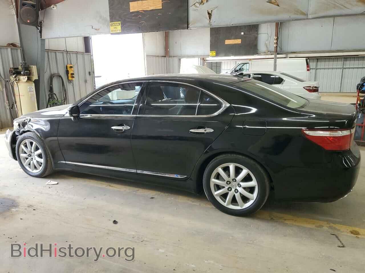 2009 LEXUS LS460 - VIN: JTHBL46FX95084507 - Photo 2