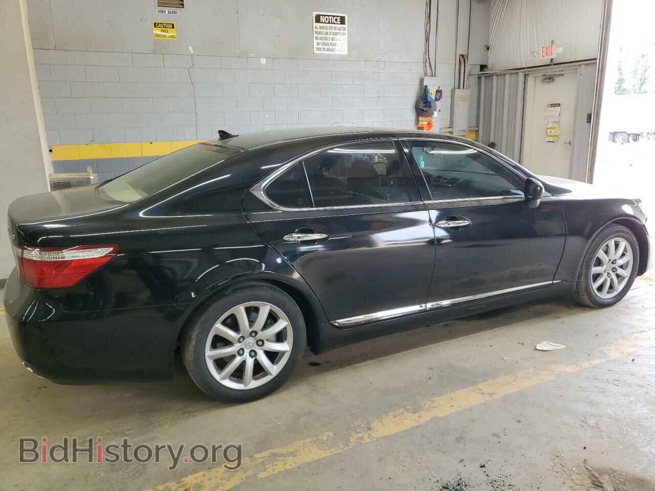 2009 LEXUS LS460 - VIN: JTHBL46FX95084507 - Photo 3