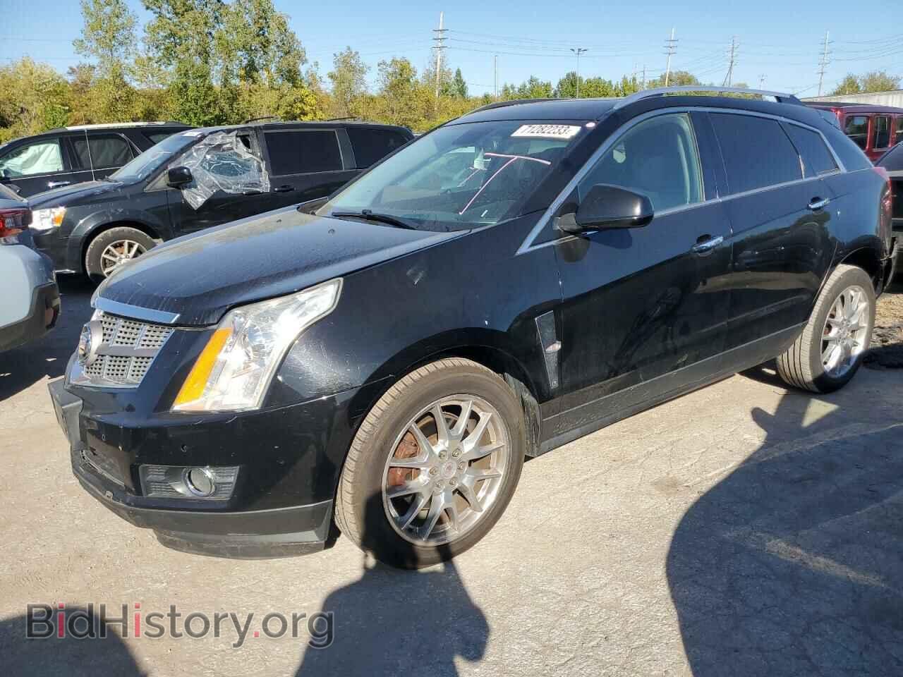 Фотография 3GYFNEEY3AS524304 - CADILLAC SRX 2010