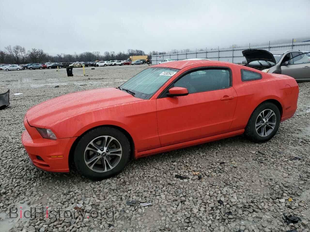 Photo 1ZVBP8AM2E5266633 - FORD MUSTANG 2014