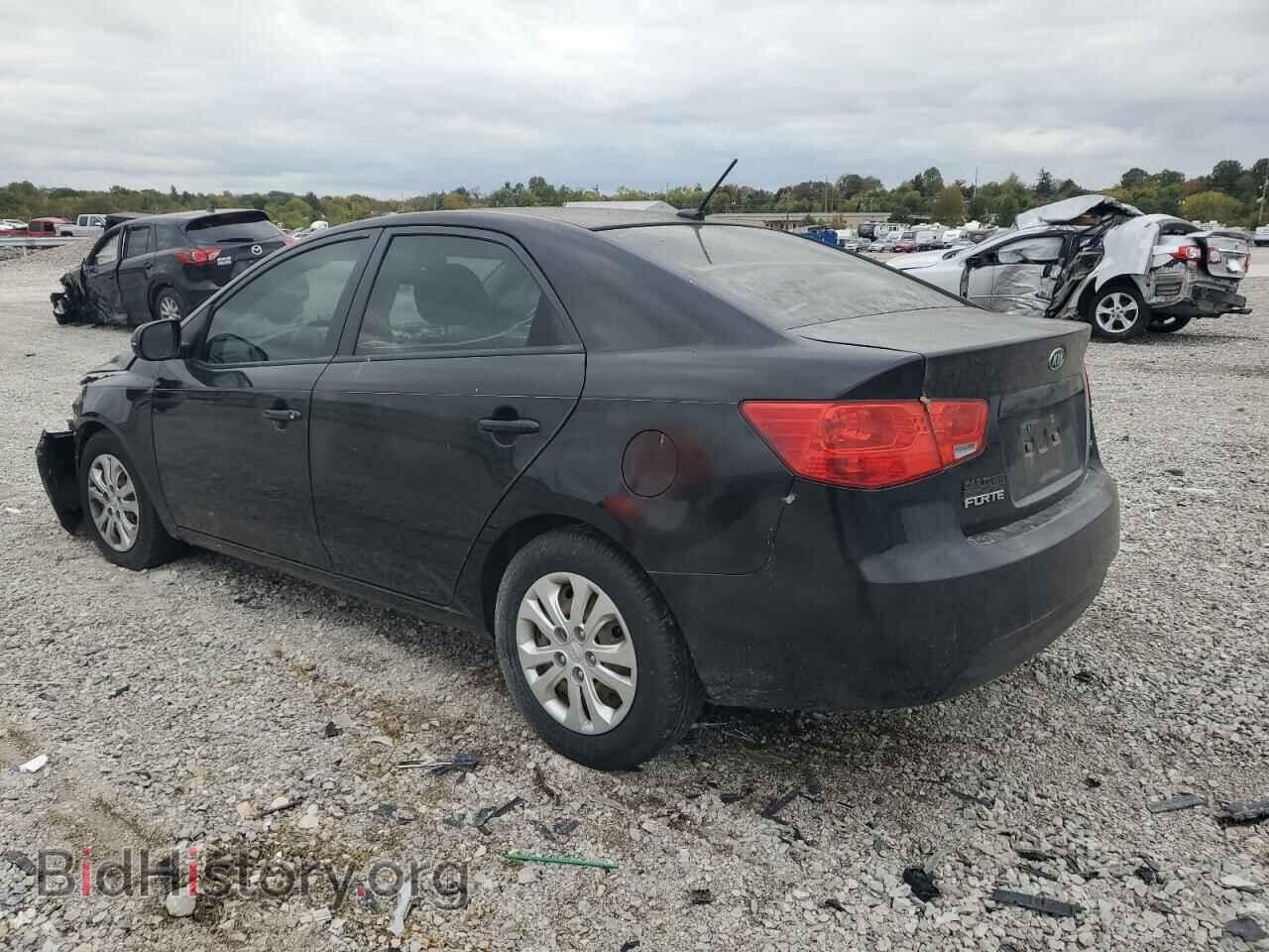 2011 KIA FORTE - VIN: KNAFU4A24B5458231 - Фото 2
