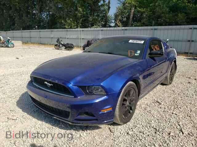 2014 FORD ALL Models - VIN: 1ZVBP8AM0E5228625 - Фото 2