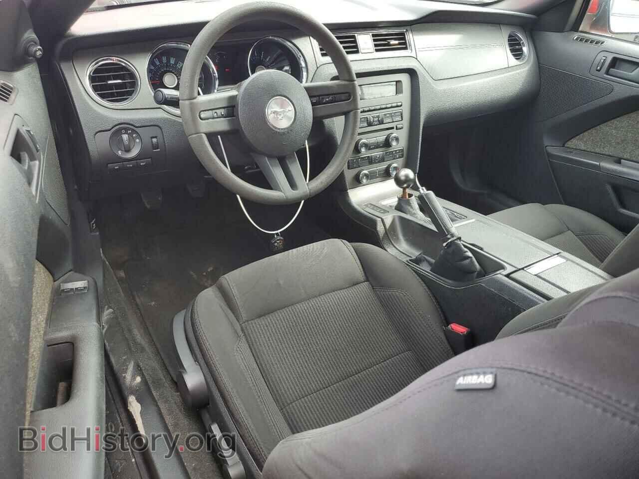 2012 FORD MUSTANG - VIN: 1ZVBP8CF3C5217713 - Фото 8