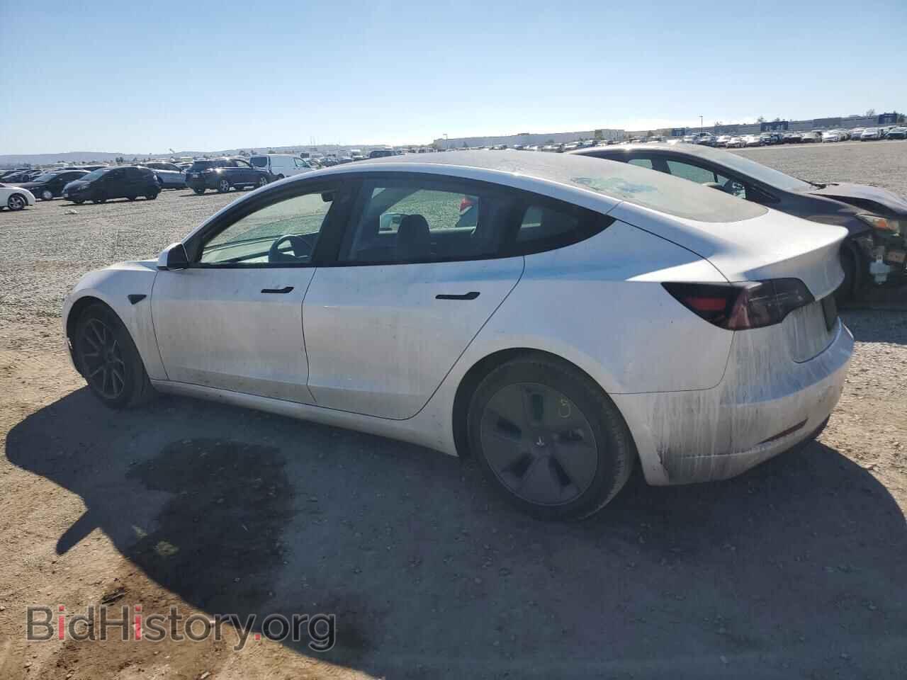 2023 TESLA MODEL 3 - VIN: 5YJ3E1EA3PF544977 - Photo 2