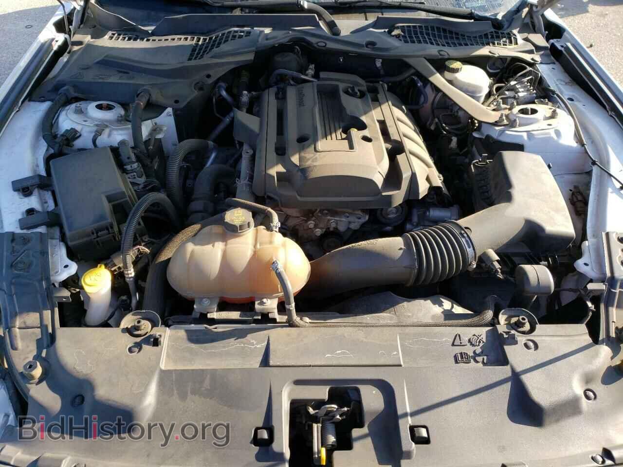 2019 FORD ALL Models - VIN: 1FATP8UH2K5170119 - Фото 11