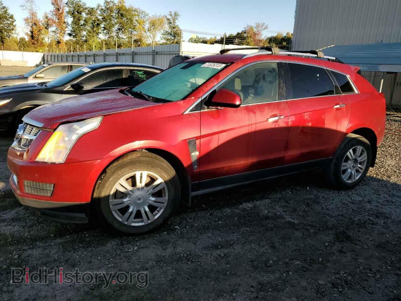 Фотография 3GYFNAE37CS556348 - CADILLAC SRX 2012