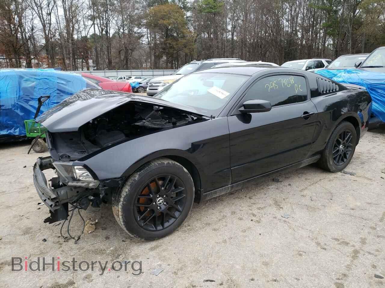 Фотография 1ZVBP8AM3E5295736 - FORD MUSTANG 2014