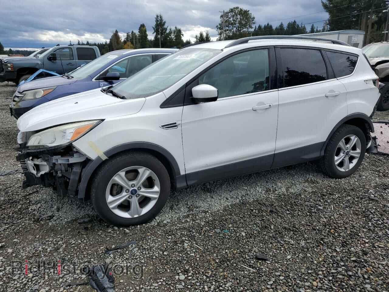 Фотография 1FMCU0GX5EUB09246 - FORD ESCAPE 2014