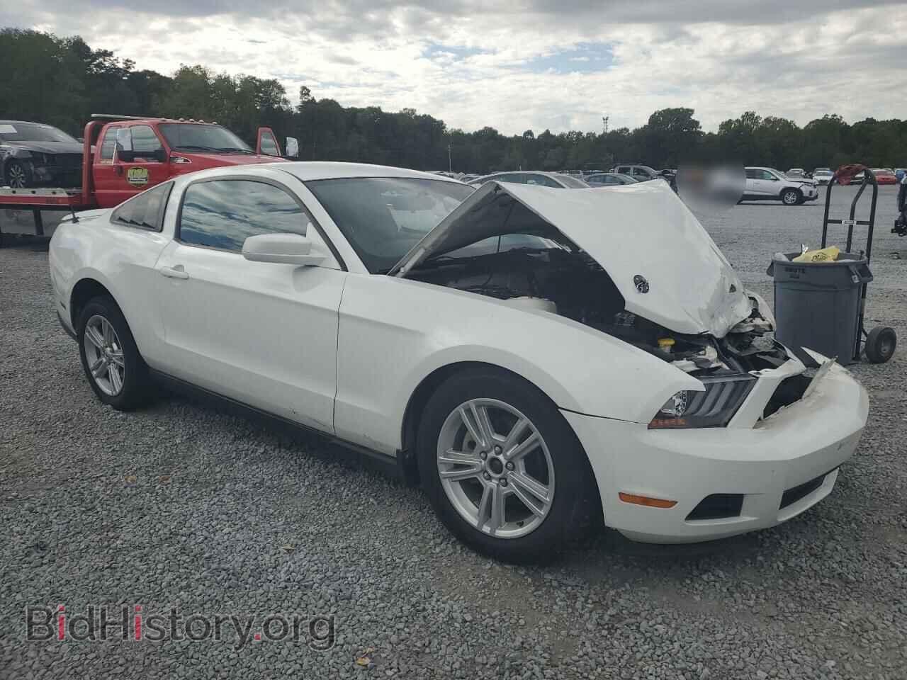 2010 FORD ALL Models - VIN: 1ZVBP8AN8A5152686 - Фото 4