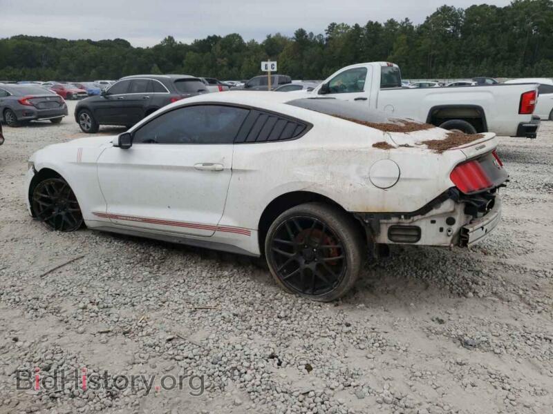 2015 Ford ALL MODELS (VIN 1FA6P8TH0F5399290) — фото 2 из 13