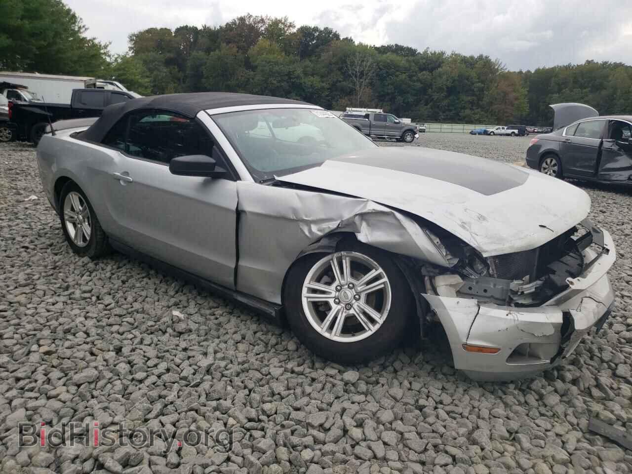 2010 FORD ALL Models - VIN: 1ZVBP8EN4A5179670 - Фото 4