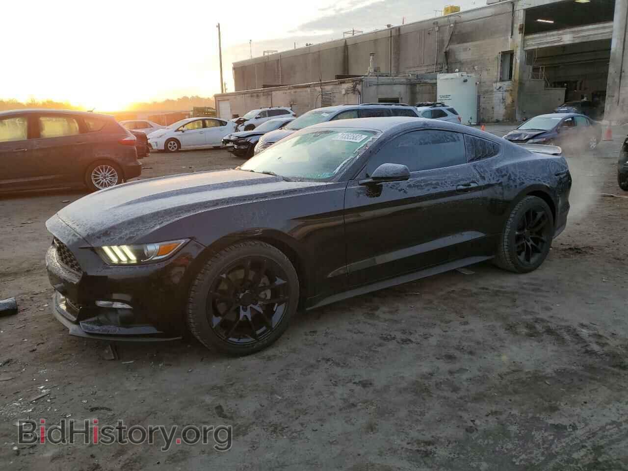 Фотография 1FA6P8TH5F5313682 - FORD MUSTANG 2015