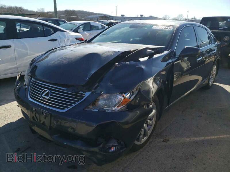 2008 Lexus LS460 (VIN JTHBL46F885074623) — фото 2 из 10