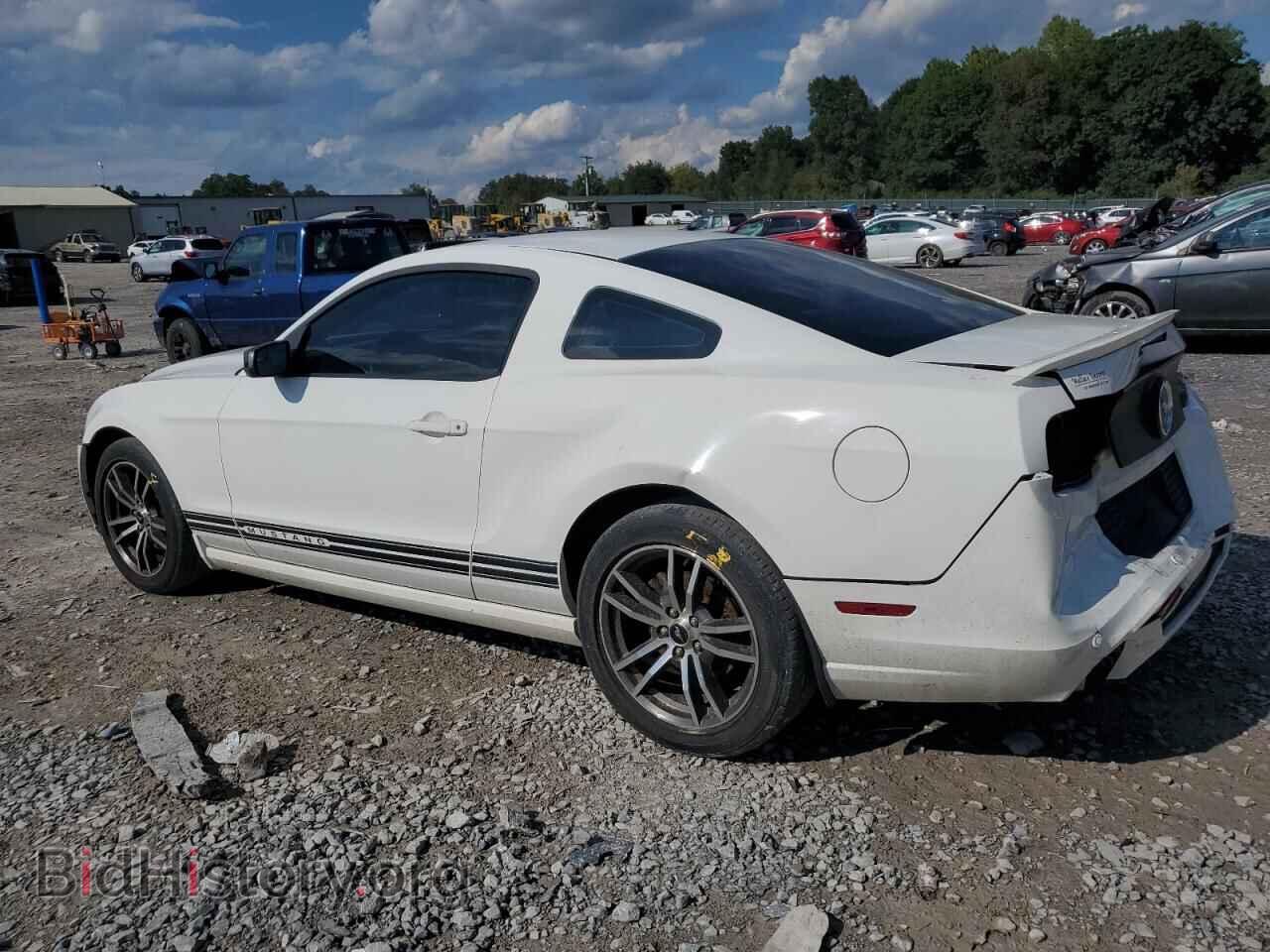2013 FORD ALL Models - VIN: 1ZVBP8AM4D5208702 - Фото 2
