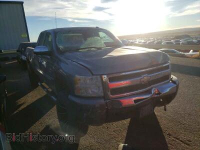 2009 Chevrolet SILVERADO, gray — VIN 2GCEC29J791106693, Copart