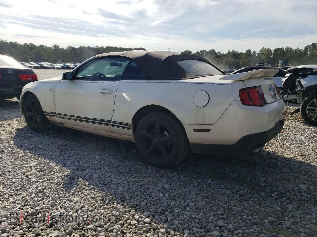 2011 FORD MUSTANG - VIN: 1ZVBP8FF6B5144122 - Фото 2