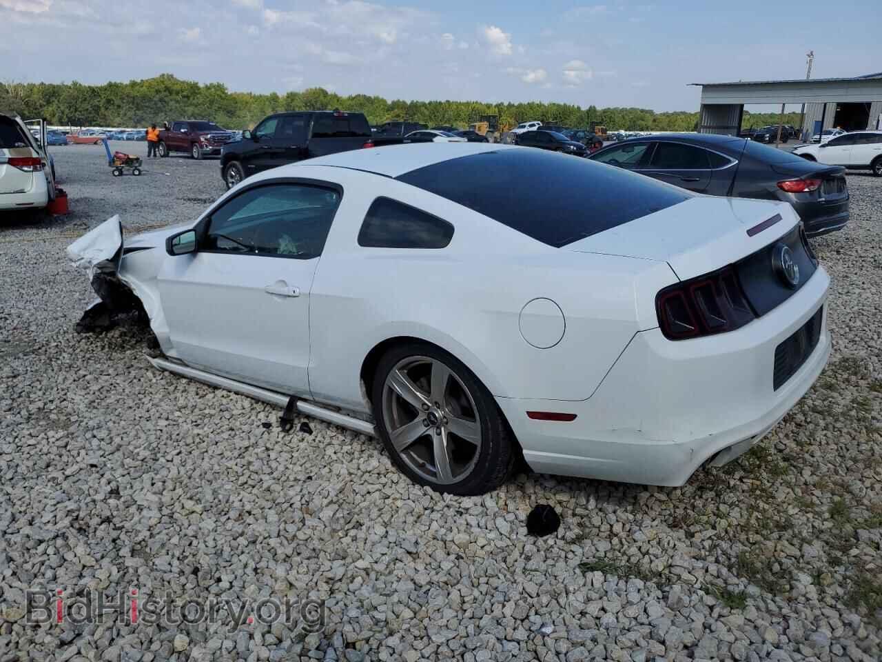 2014 FORD ALL Models - VIN: 1ZVBP8AM9E5259212 - Photo 2