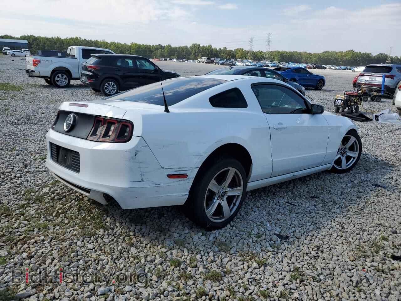 2014 FORD ALL Models - VIN: 1ZVBP8AM9E5259212 - Photo 3