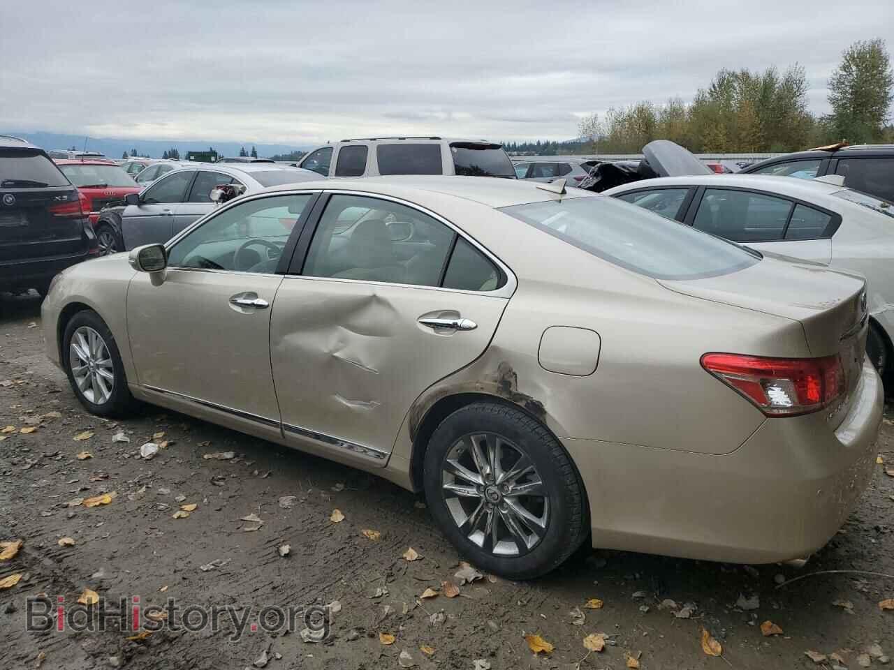 2010 LEXUS ES350 - VIN: JTHBK1EG2A2354718 - Фото 2