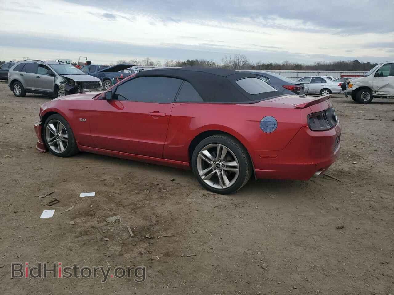 2013 FORD MUSTANG - VIN: 1ZVBP8FF8D5201245 - Фото 2