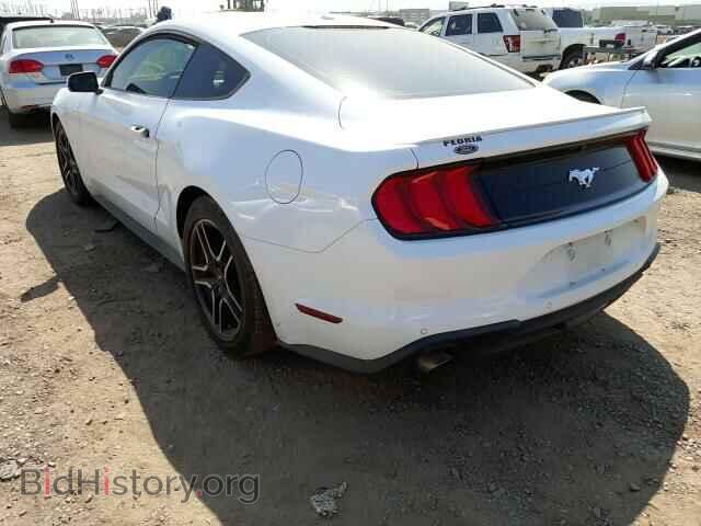 2019 FORD ALL Models - VIN: 1FA6P8TH6K5119074 - Фото 3