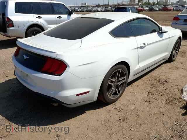 2019 FORD ALL Models - VIN: 1FA6P8TH6K5119074 - Фото 4