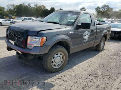 2013 Ford ALL MODELS, серый — VIN 1FTMF1CM4DKD29654, Copart