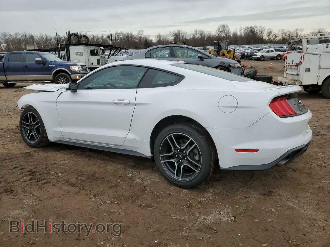 2019 FORD MUSTANG - VIN: 1FA6P8TH5K5172509 - Фото 2