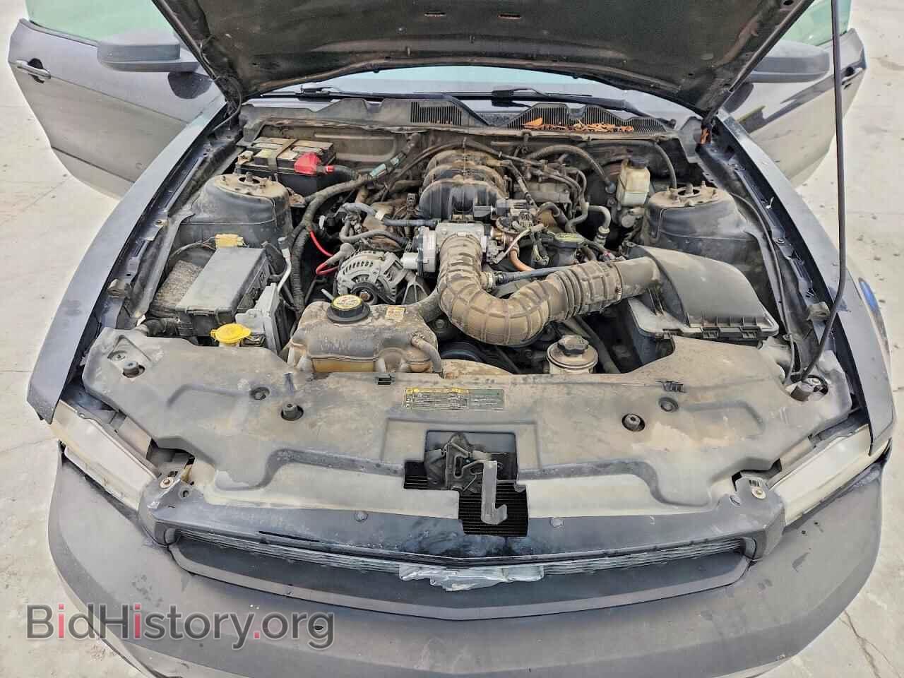 2010 FORD MUSTANG - VIN: 1ZVBP8AN3A5128165 - Фото 11