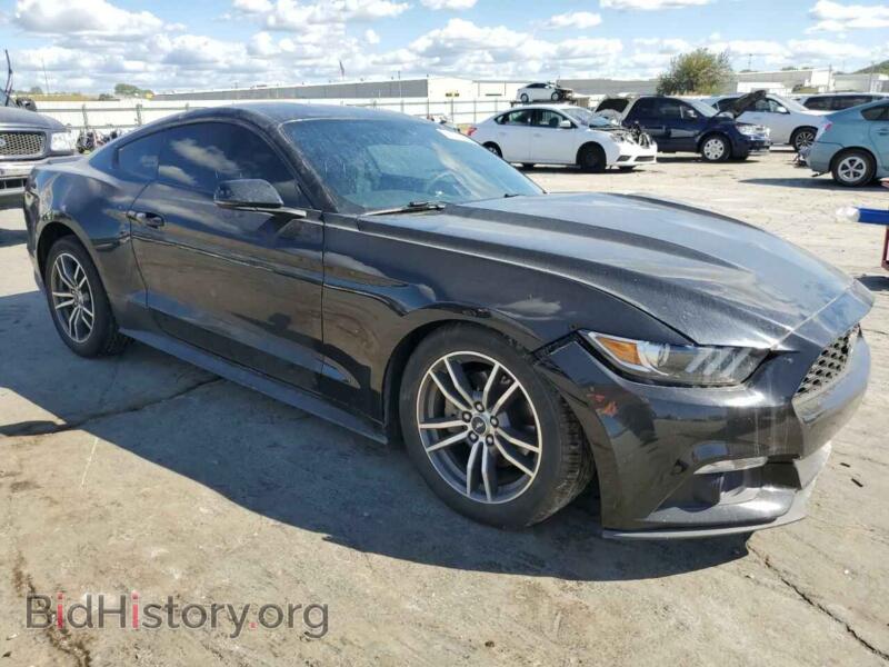 2017 Ford ALL MODELS (VIN 1FA6P8TH6H5205302) — фото 4 из 13