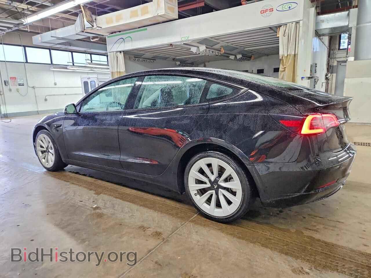 2023 TESLA MODEL 3 - VIN: 5YJ3E1EA1PF438902 - Фото 2