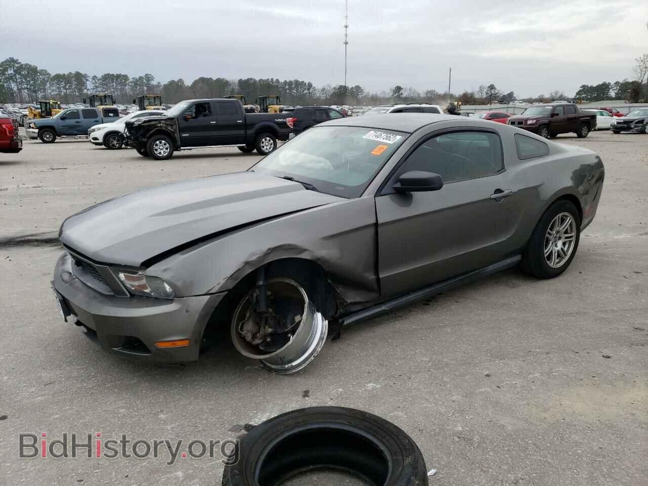 Фотография 1ZVBP8AM5B5103177 - FORD MUSTANG 2011