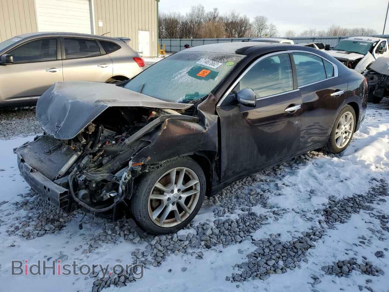 Фотография 1N4AA5APXAC804323 - NISSAN MAXIMA 2010
