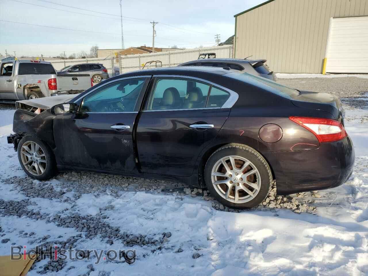 2010 NISSAN MAXIMA - VIN: 1N4AA5APXAC804323 - Фото 2