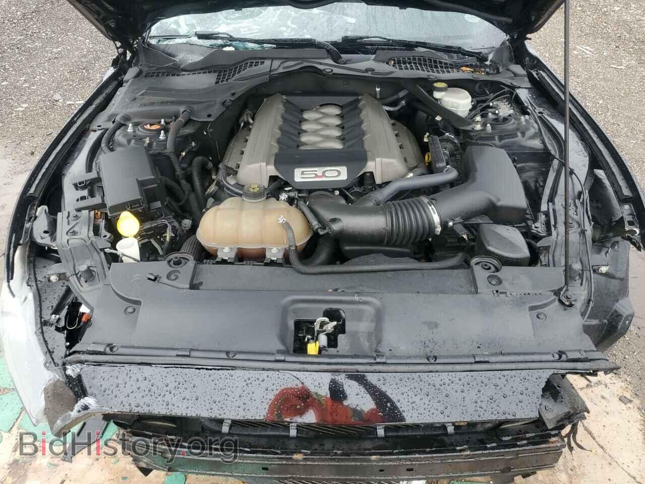 2017 FORD MUSTANG - VIN: 1FA6P8CF8H5343017 - Фото 12