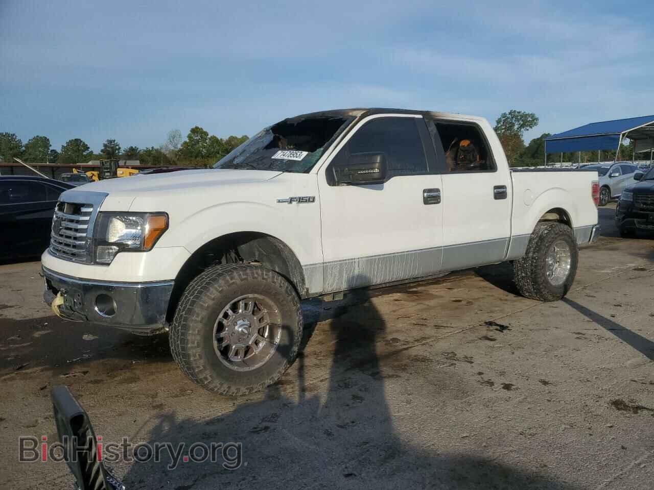 Фотография 1FTFW1CF6CFC69698 - FORD F-150 2012