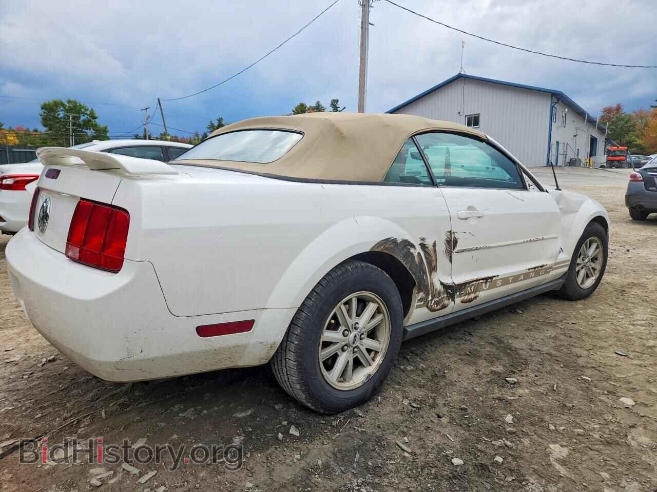 2006 FORD MUSTANG - VIN: 1ZVFT84NX65234807 - Фото 3