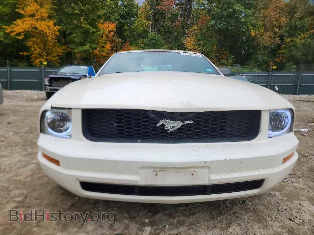 2006 FORD MUSTANG - VIN: 1ZVFT84NX65234807 - Фото 5