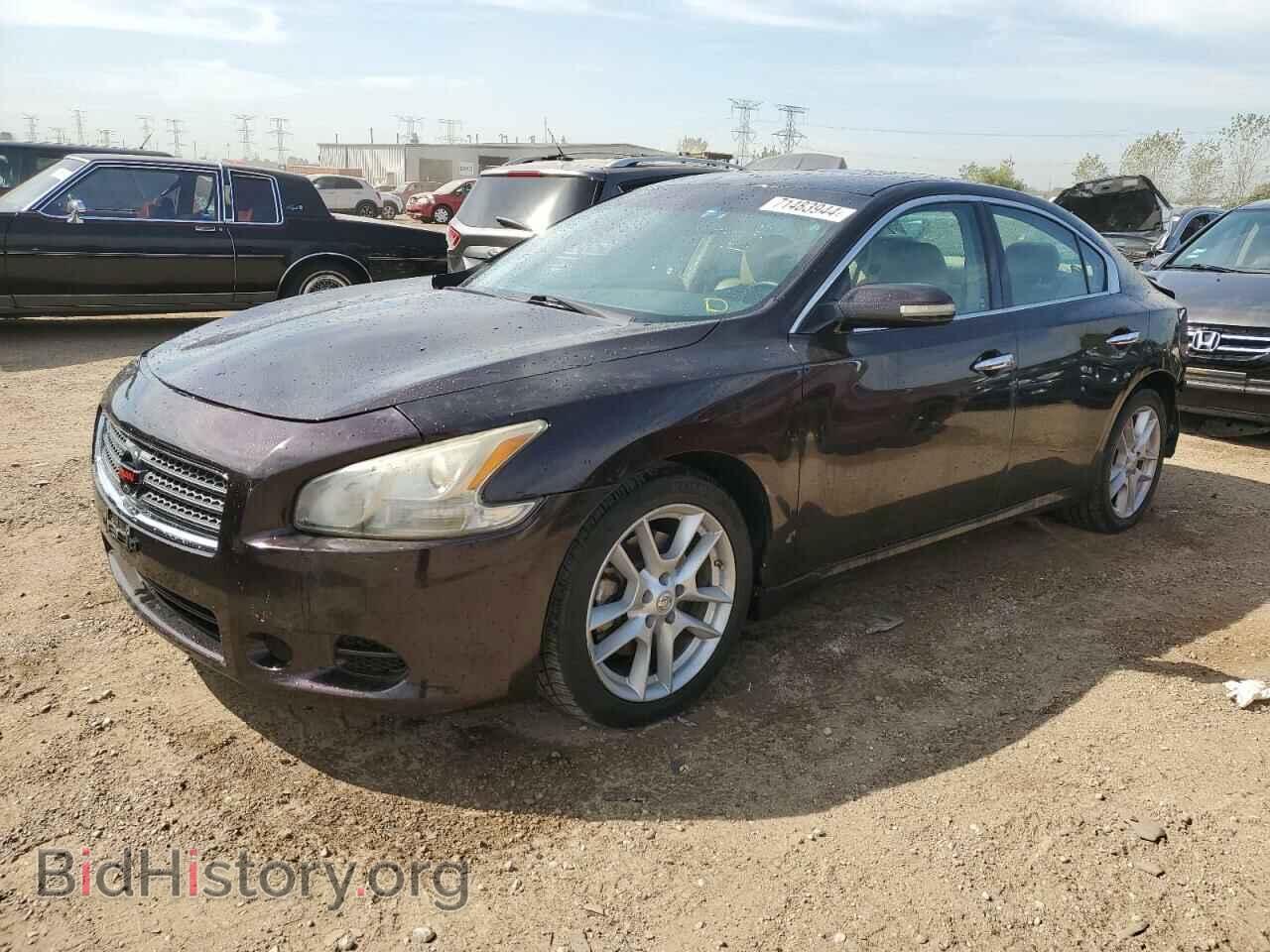 Photo 1N4AA5AP7AC807969 - NISSAN MAXIMA 2010